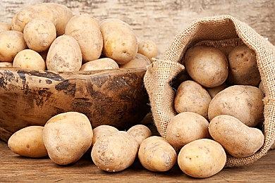 视觉小说《狐狸在等我花》将于11月2日登陆Switch